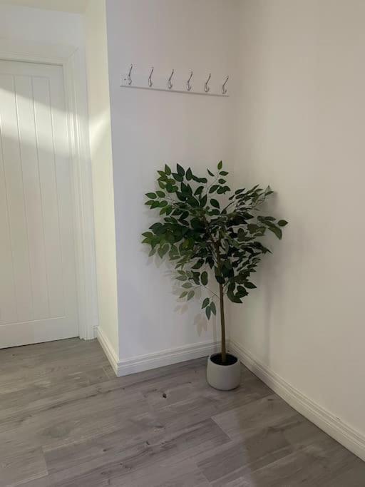 Modern 1-Bed Apartment Belfast Exterior photo